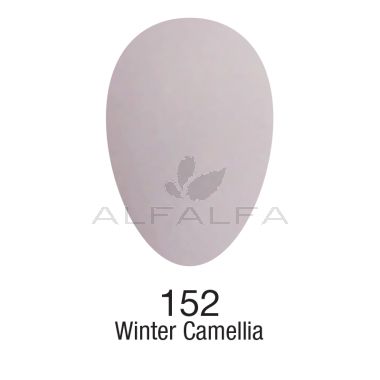 BangBang Acrylic Winter Camellia - 1.5 lbs