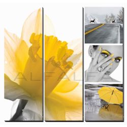 3 pcs Fresh Daffodil Ensemble Canvas Mural 36” x 36”