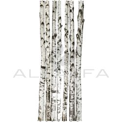 Regal Wall Decal - Birch Tree - 7 Trunks 120"H