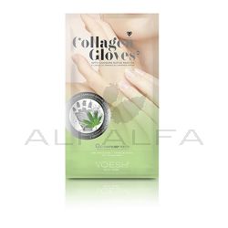 Voesh Collagen Gloves w/Cannabis Sativa Seed Oil 1pr