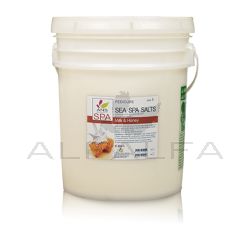 ANS - Sugar Scrub - Milk & Honey 5 Gal