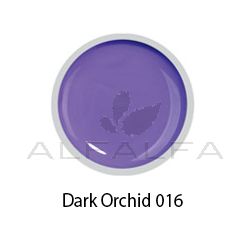 Beyond- #016 Painting Gel - Dark Orchid - 8 gr