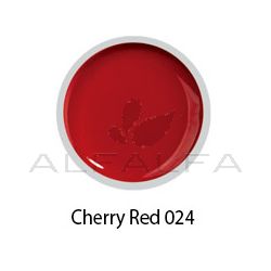 Beyond- #024 Painting Gel - Cherry Red - 8 gr