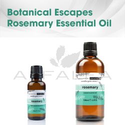Botanical Escapes Rosemary Essential Oil