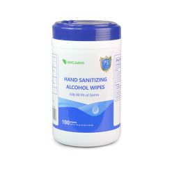 Hocleans Hand Sanitizing Wipes - 100 pcs