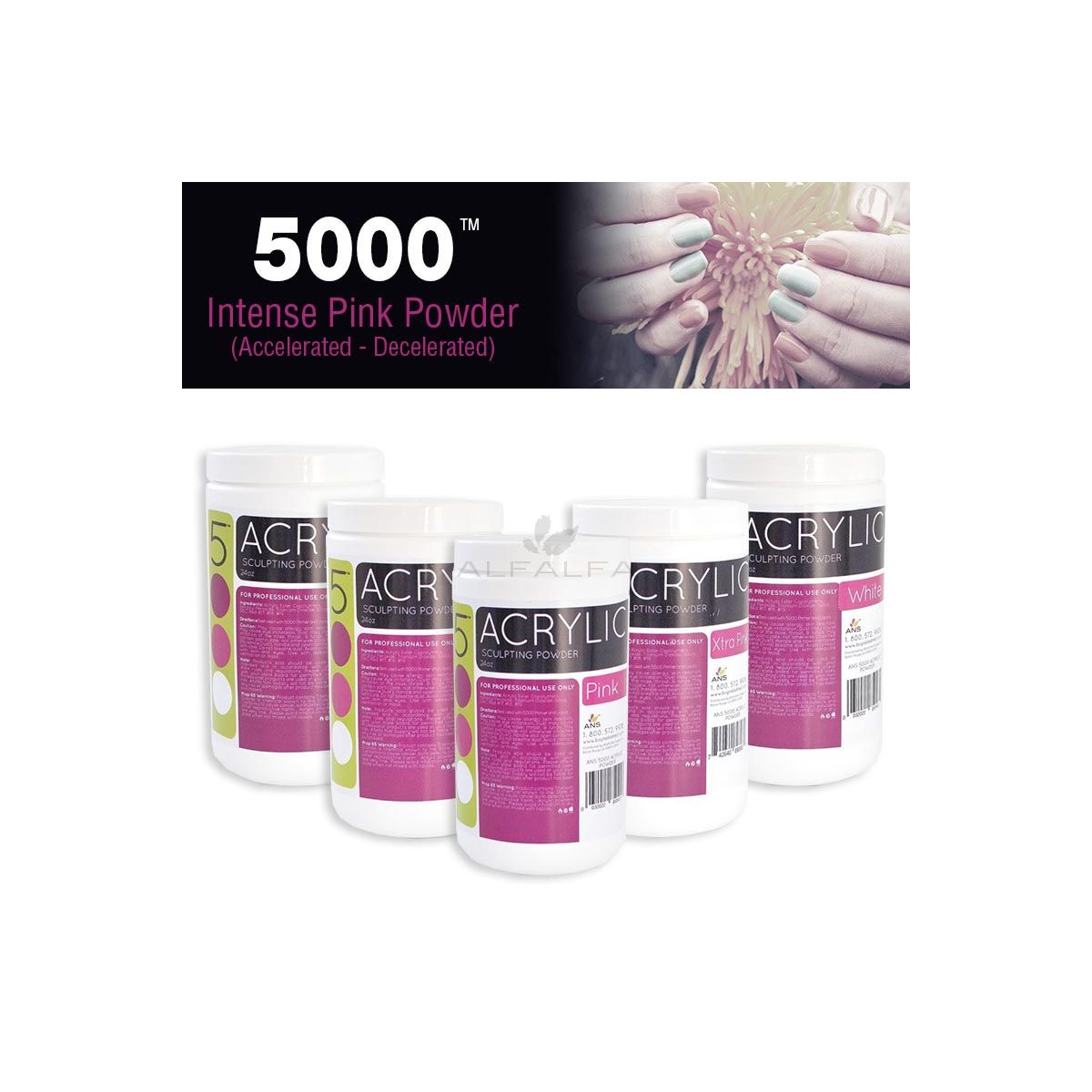 5000 Acrylic Powder - 24oz