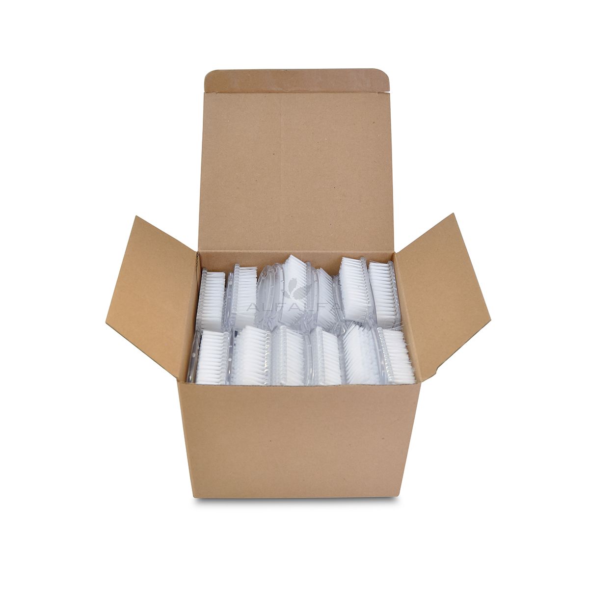 Manicure Brush Type A