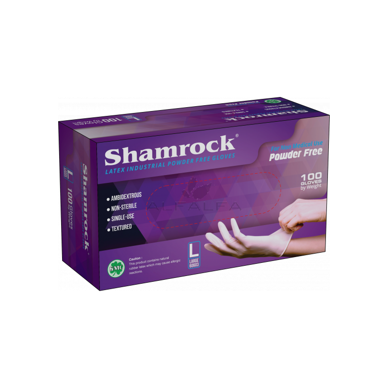 Shamrock - Powder Free Latex Gloves - Large 100 ct