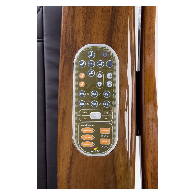ANS-P20 Remote Control with Overlay