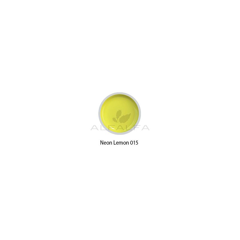 Beyond- #015 Painting Gel- Neon Lemon - 8 gr