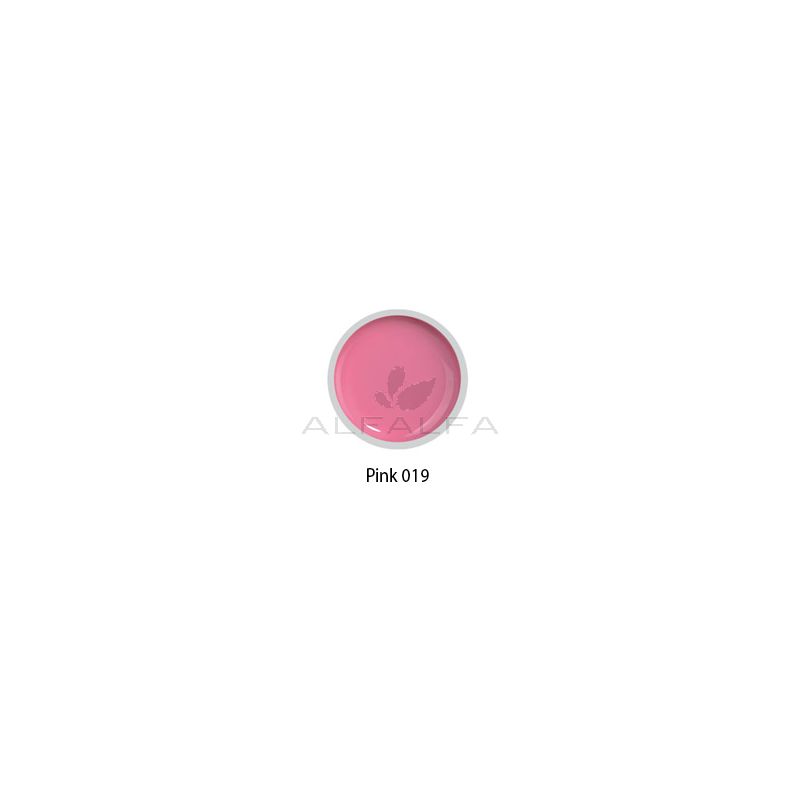 Beyond- #019 Painting Gel - Pink - 8 gr