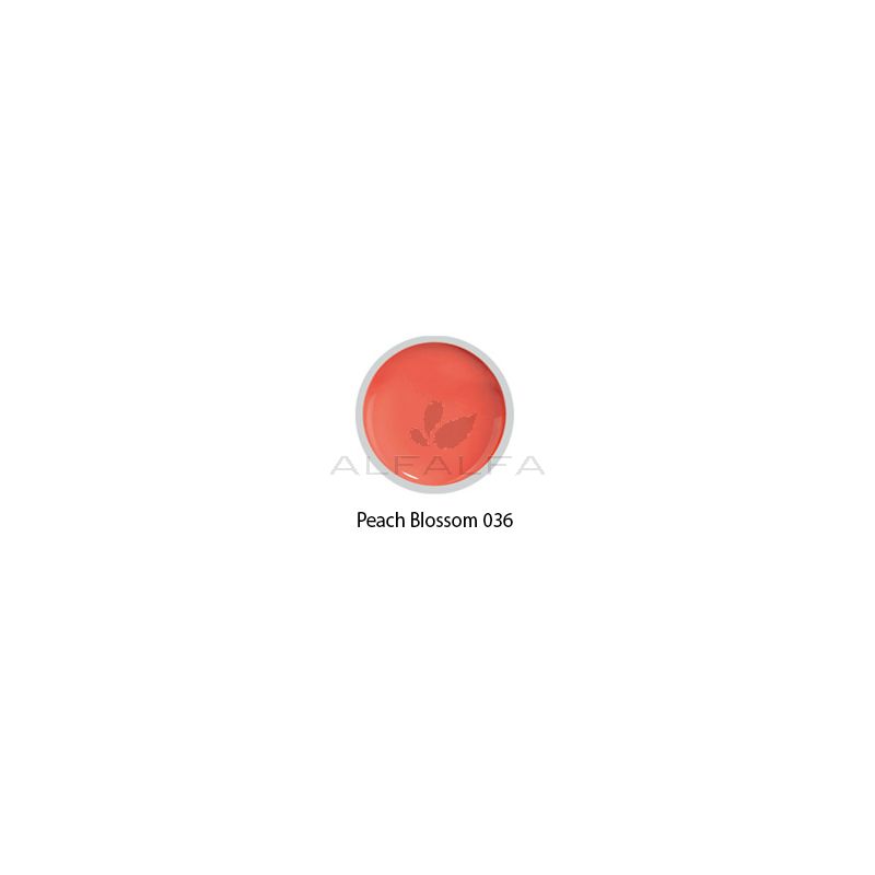 Beyond- #036 Painting Gel - Peach Blossom - 8 gr