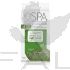 BCL SPA 4-Step System - Lemongrass + Green Tea