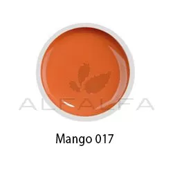 Beyond- #017 Painting Gel- Mango - 8 gr