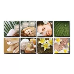 8 pcs Tropical Plumeria Ensemble Canvas Mural 48