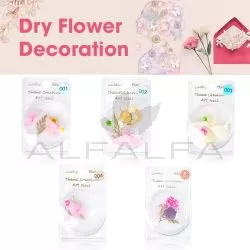 Nail Art Dry Flower Decoration - # 1 - 5  Set of 5