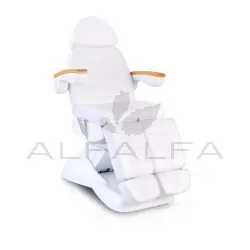 Facial Beauty Chair & Wooden Armrests, Split Legs w/ 5 Motors - White