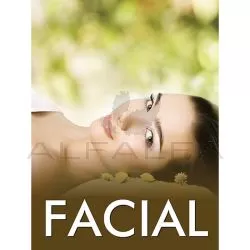 Holographic Window Decal-Facial-H-14