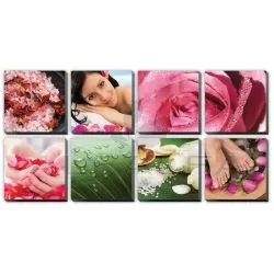 8 pcs Fresh Pink Ensemble Canvas Mural II 48