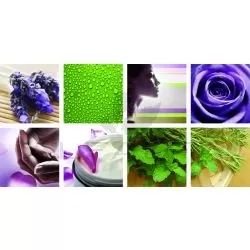8 pcs Botanical Ensemble Canvas Mural 48
