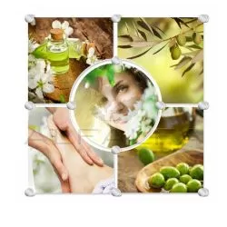 Olive Garden Glass Mural - Design A