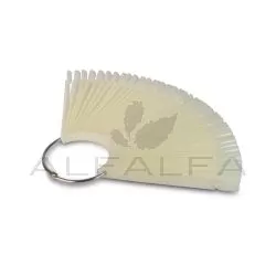 Natural Nail Tip Display Sticks 50 ct