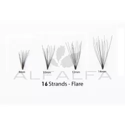 #1 Eyelash Flare Jar 12MM -16 Long