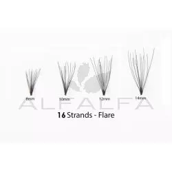 #1 Eyelash Flare Jar 14MM -16 XLong
