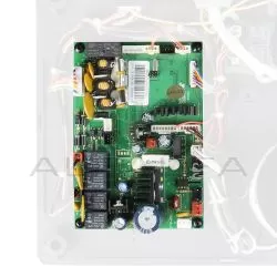 ANS-P20 Main PCB