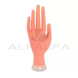 Practice Hand