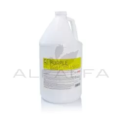 QT Purple Liquid 1 Gal