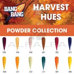 BangBang Harvest Hues Powder Collection