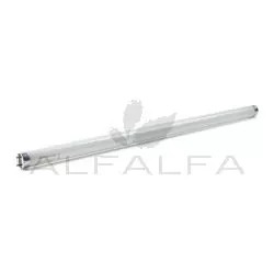 UV Bulb T8 - 24
