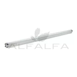 Replacement UV Lightbulbs