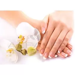 Wall Decal - Hand & Orchid Decal (100