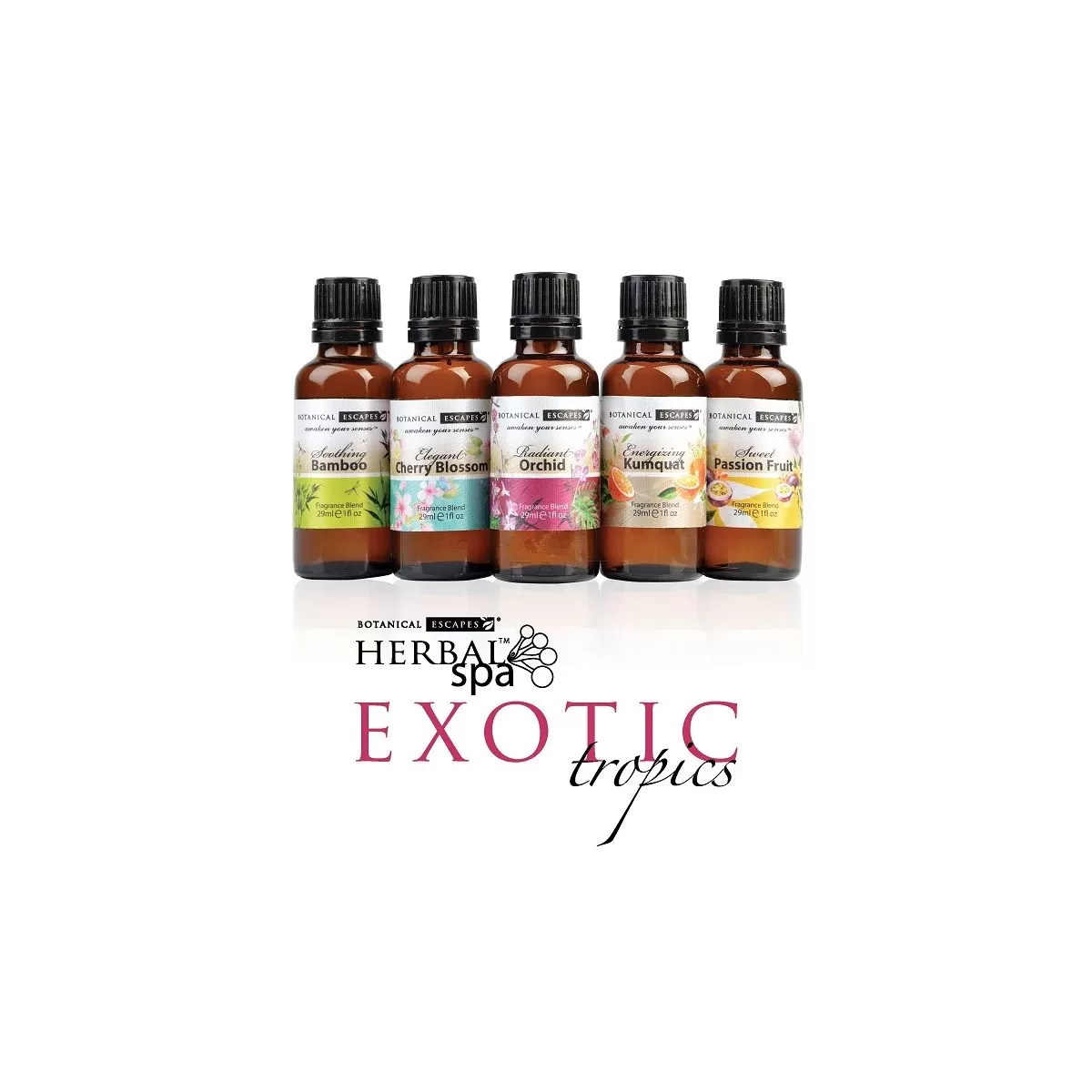 Exotic Tropics Kit