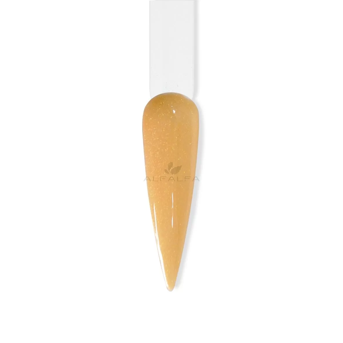 Beyond Couleurdip Summer Kit