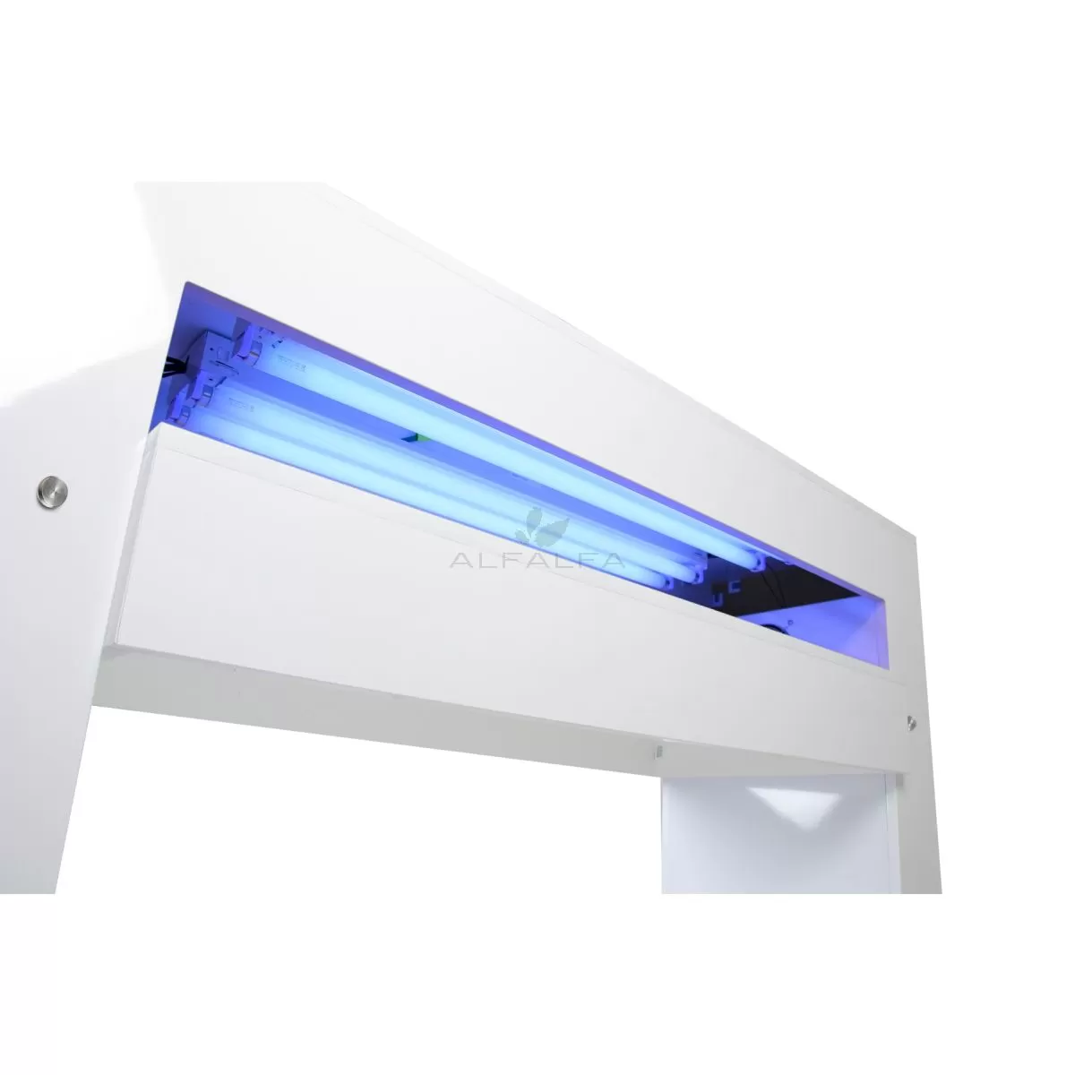 Bianco Quad QDry Table (US)