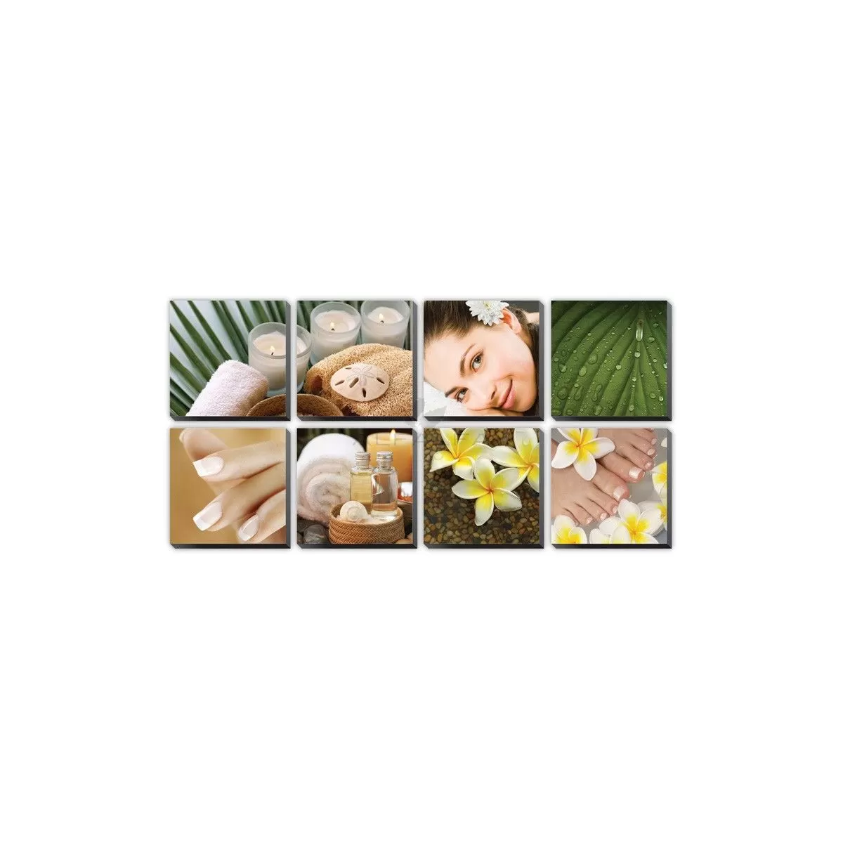 8 pcs Tropical Plumeria Ensemble Canvas Mural 48