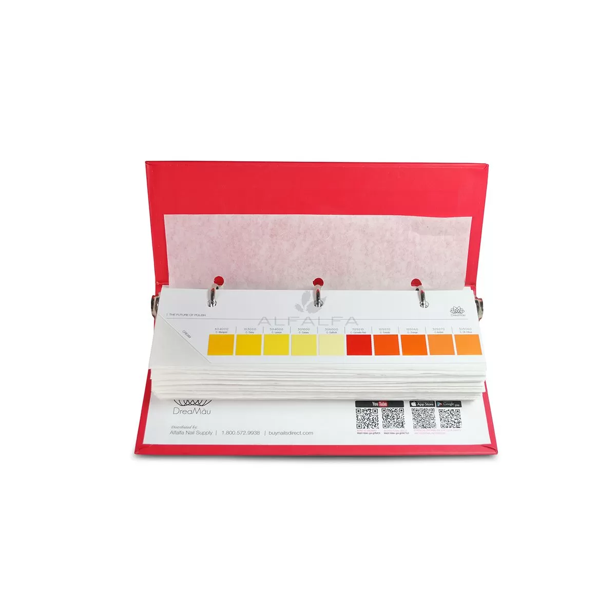 DreaMau Powder Kit