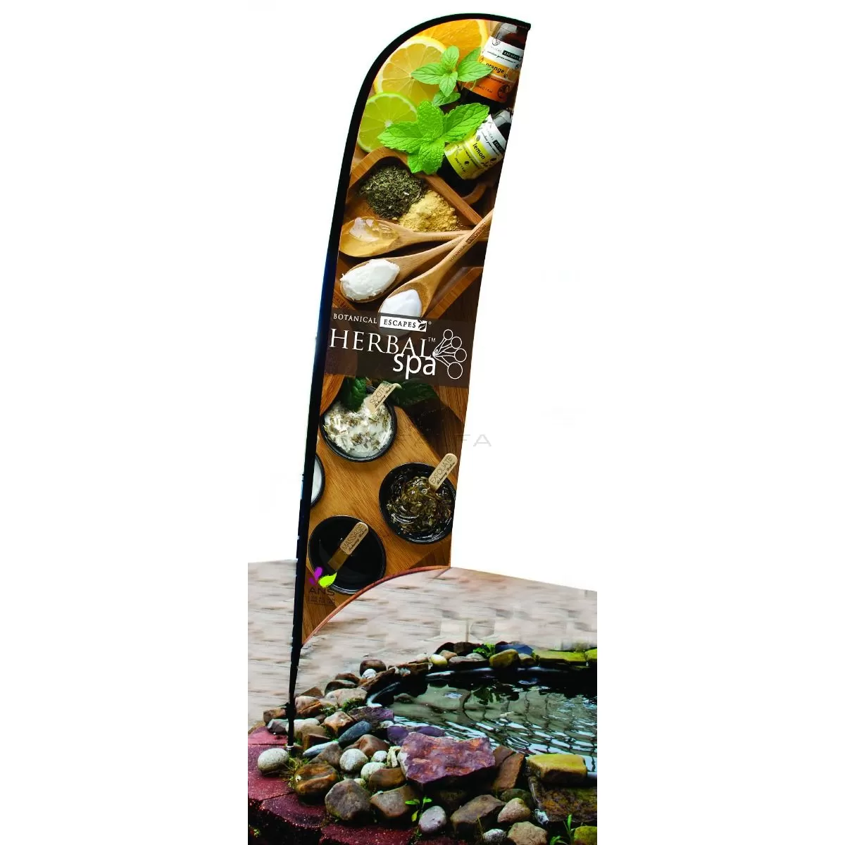 Investment Kit with Herbal Display Cabinet