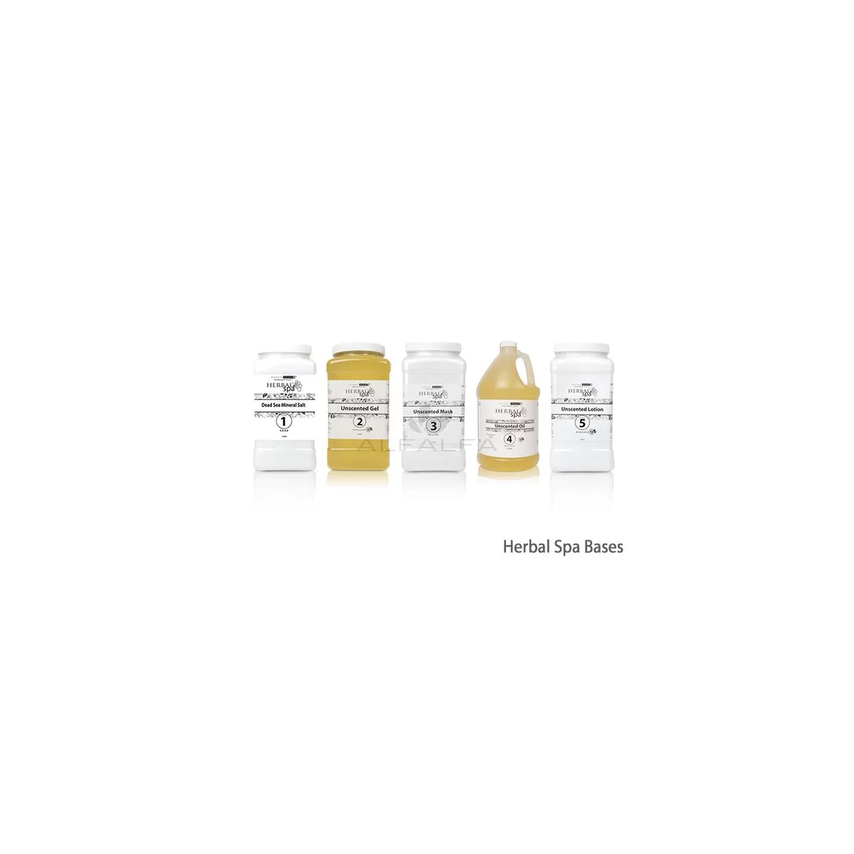 Exotic Tropics Kit