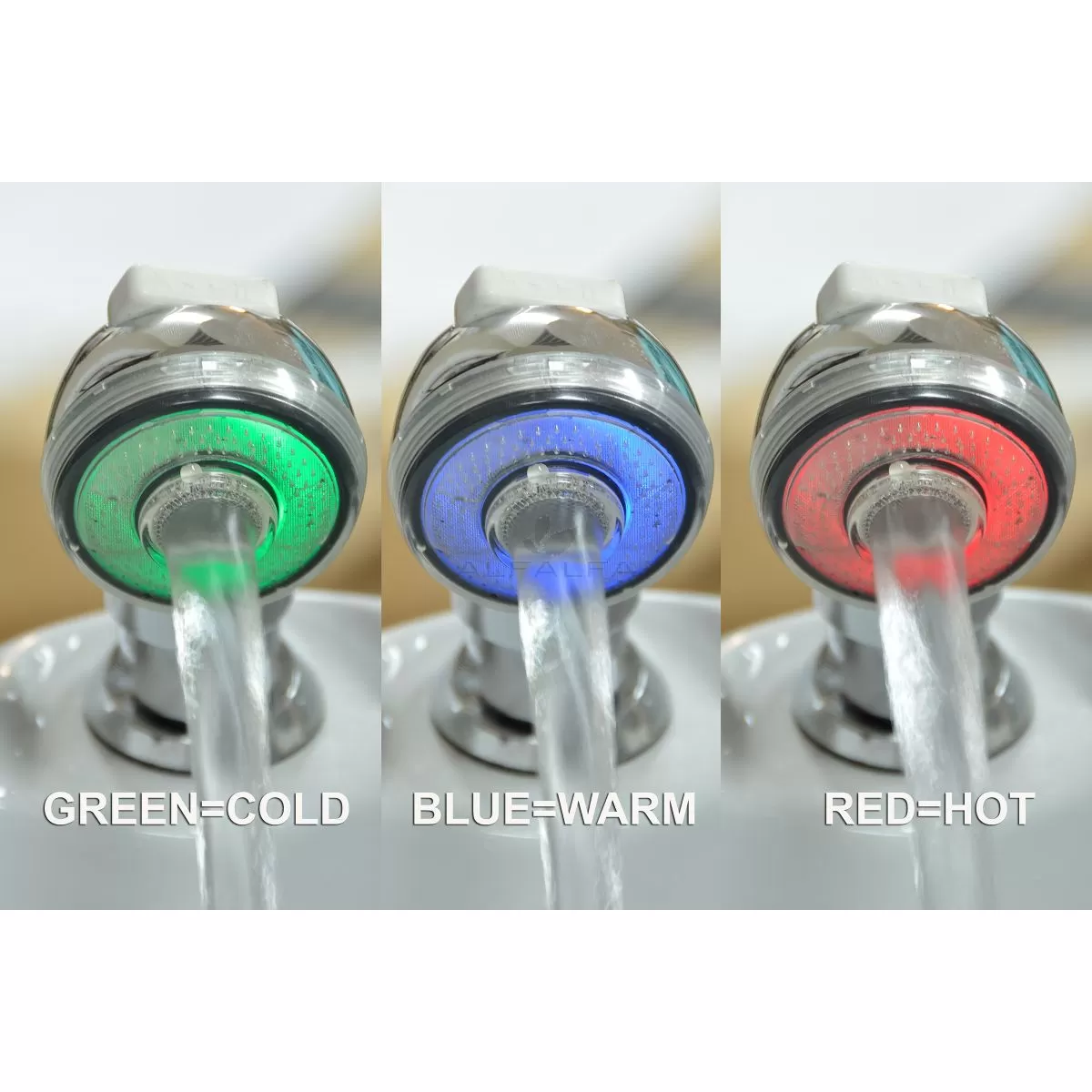 Spa LED Shower Head Complete - w/  ANS logo