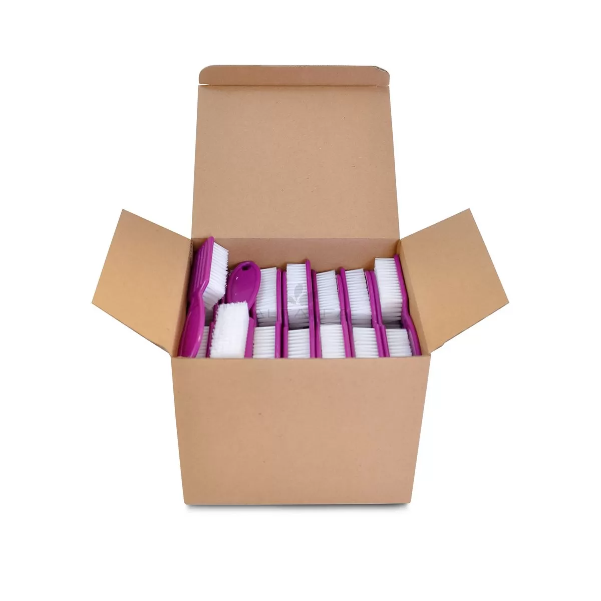 Manicure Brush Type A
