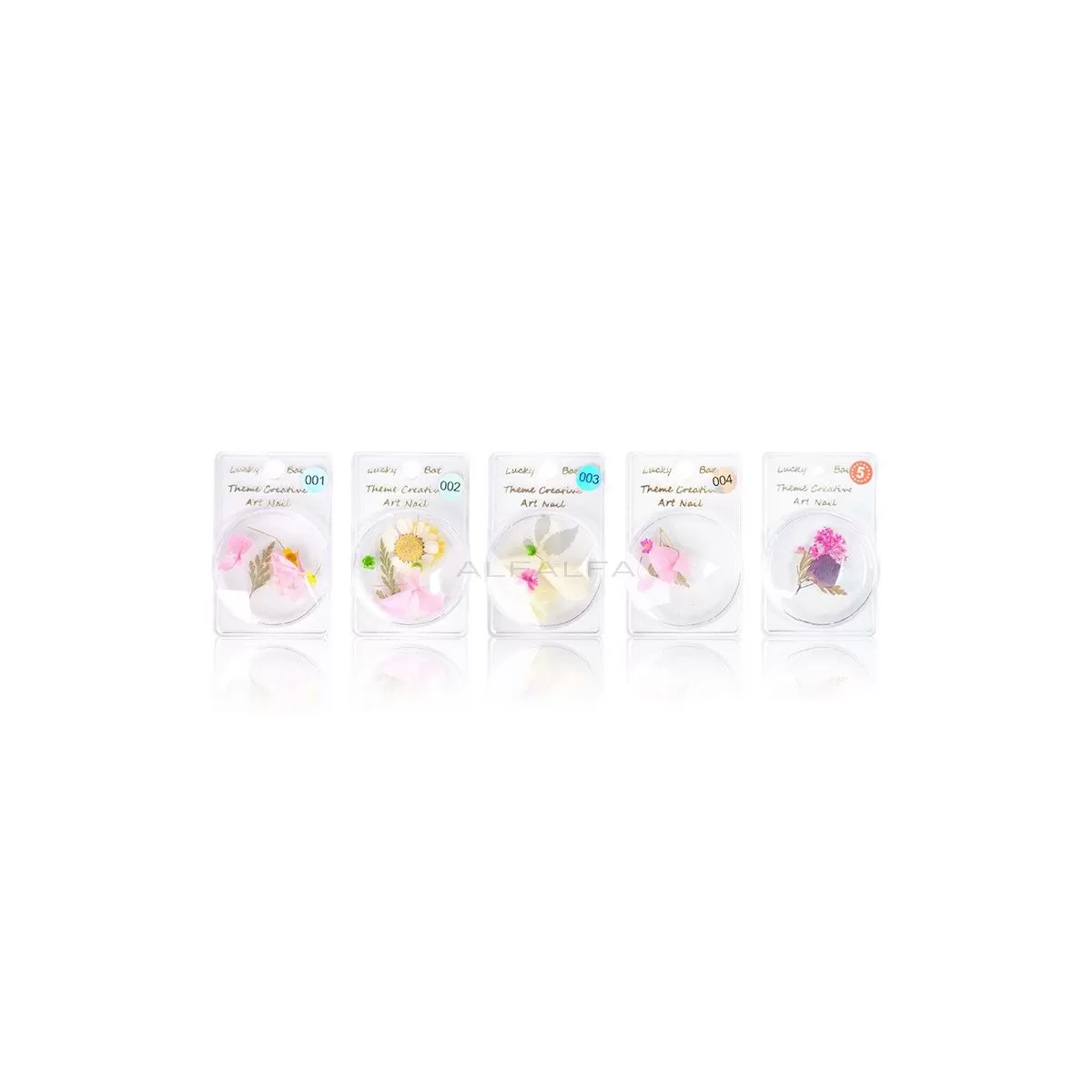 Nail Art Dry Flower Decoration - # 1 - 5  Set of 5