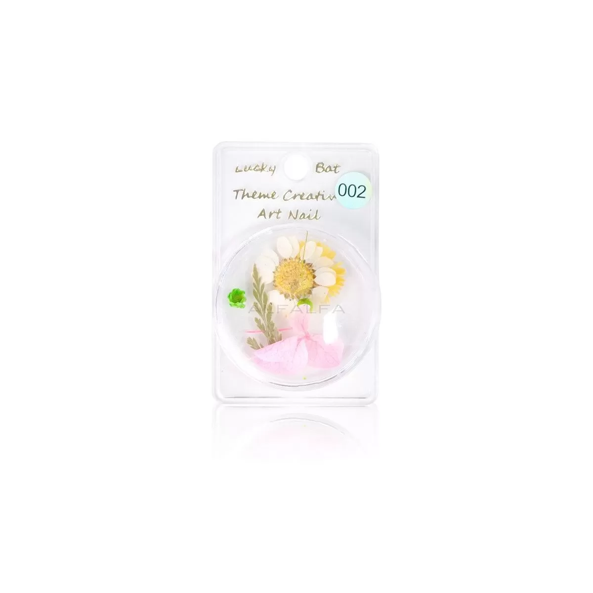 Nail Art Dry Flower Decoration - # 1 - 5  Set of 5