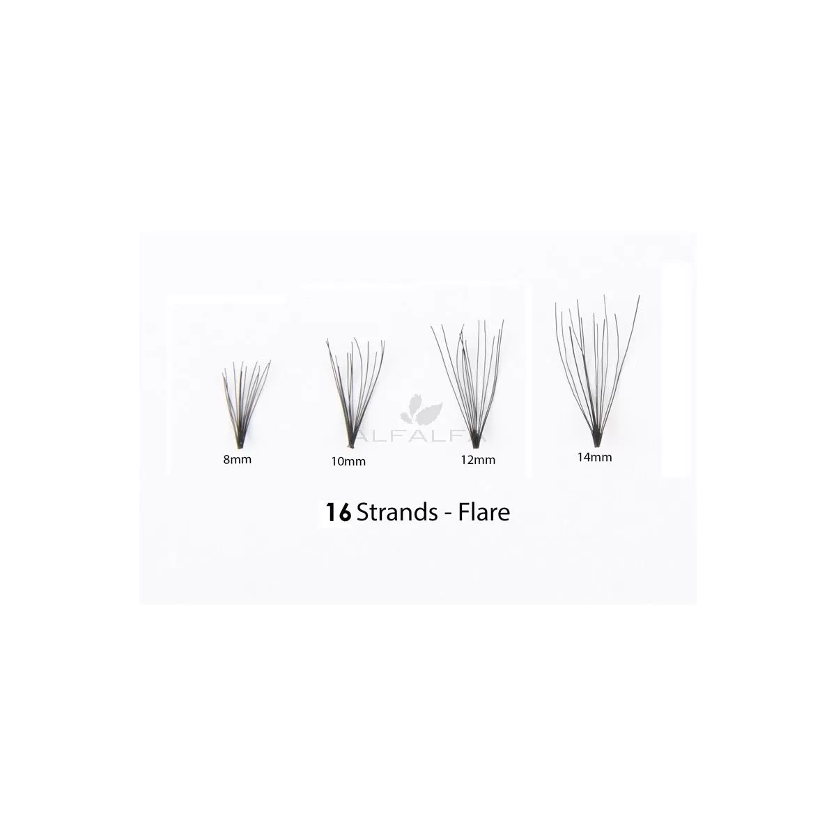 #1 Eyelash Flare Jar 10MM -16 Medium