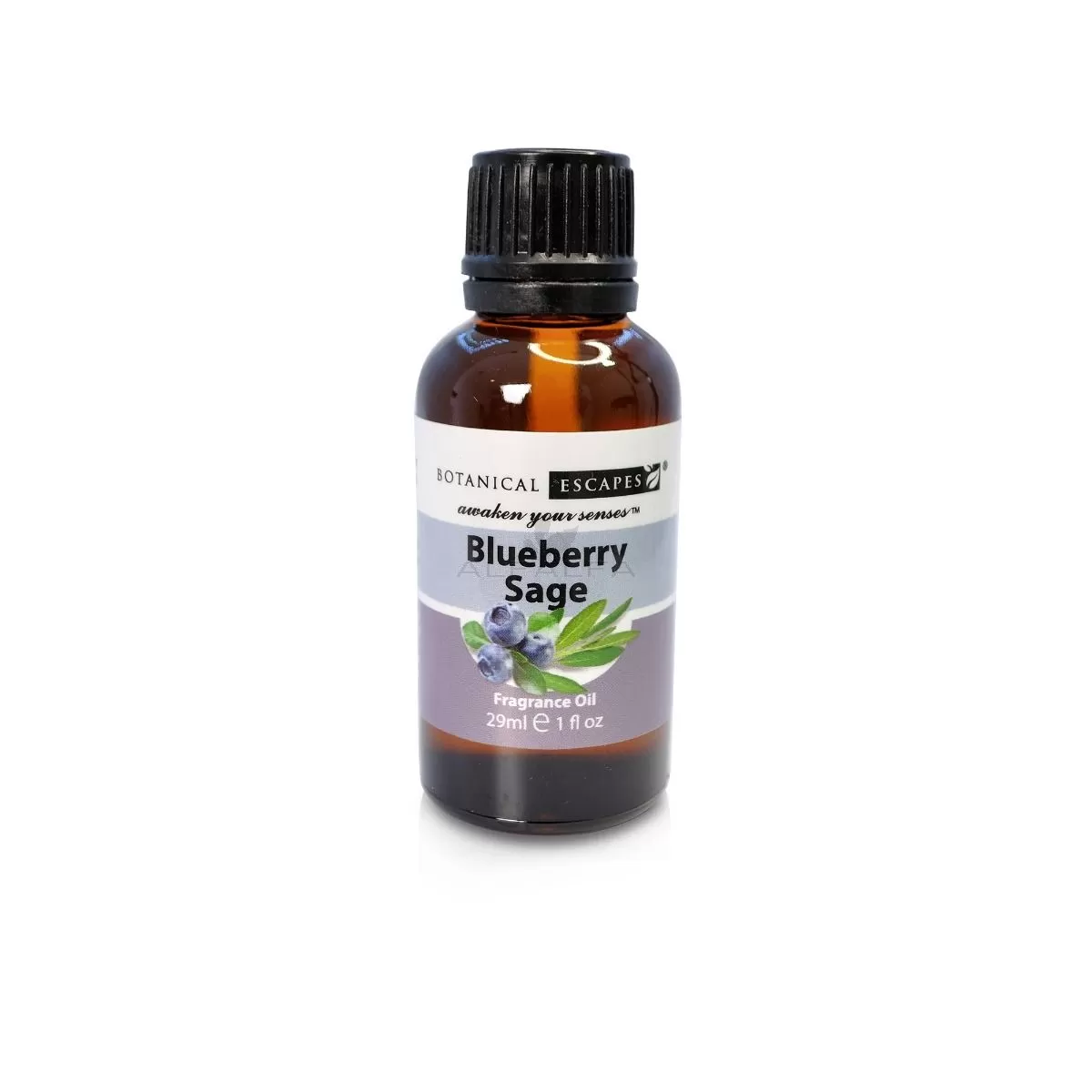 Botanical Escapes Herbal Spa Essential & Fragrance Oils – 1 oz