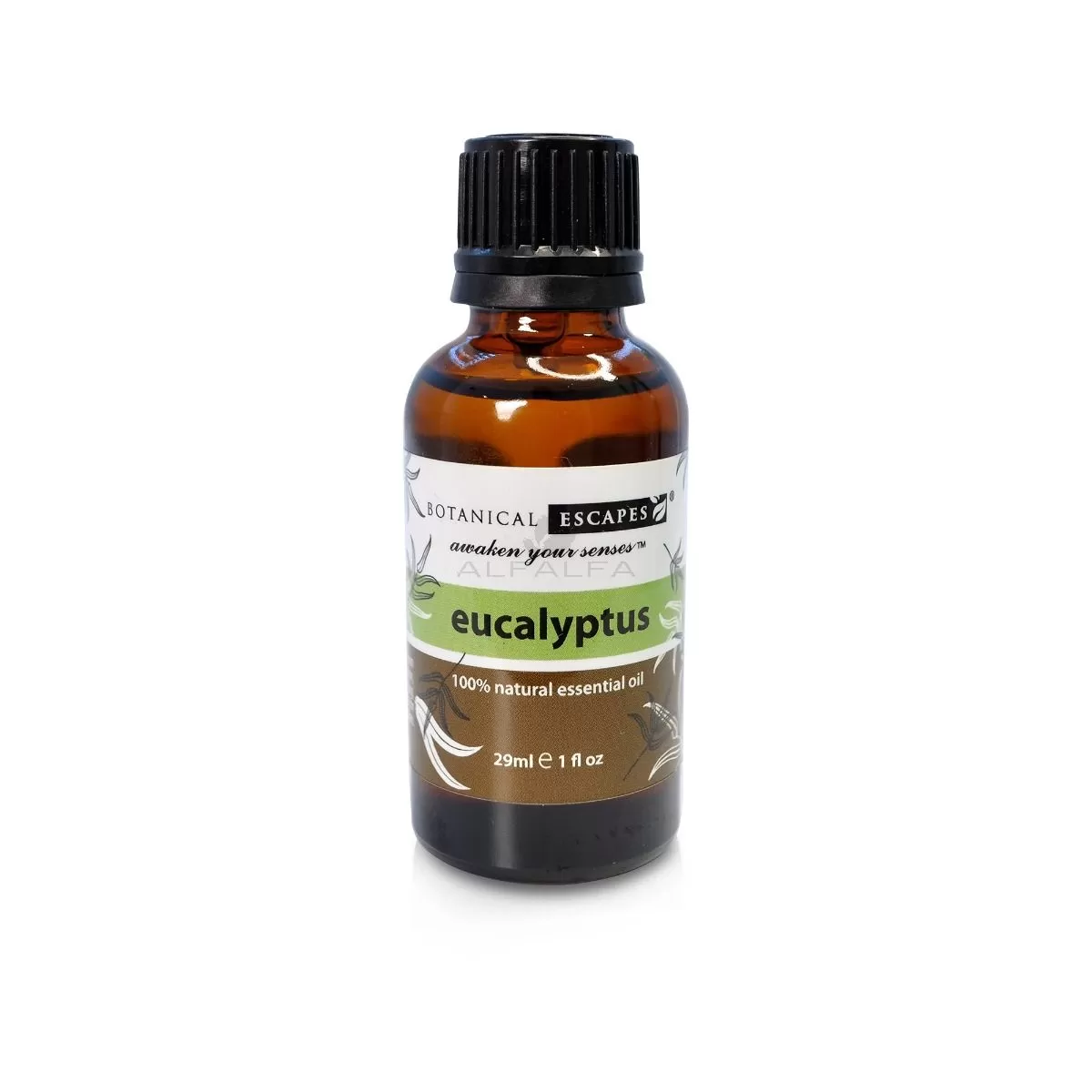 Botanical Escapes Herbal Spa Essential & Fragrance Oils – 1 oz