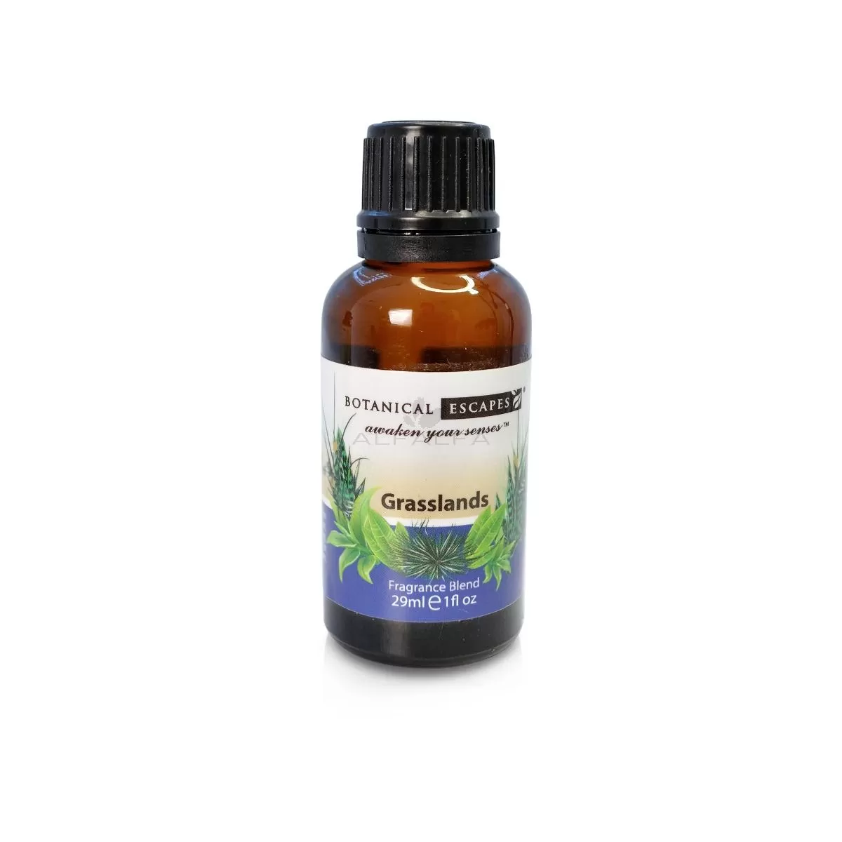 Botanical Escapes Herbal Spa Essential & Fragrance Oils – 1 oz